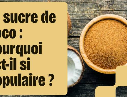 Le sucre de coco, analyse d’une alternative controversée