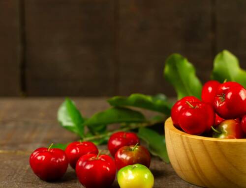 Les Bienfaits de l’Acérola : Propriétés et Avantages de ce Super-fruit