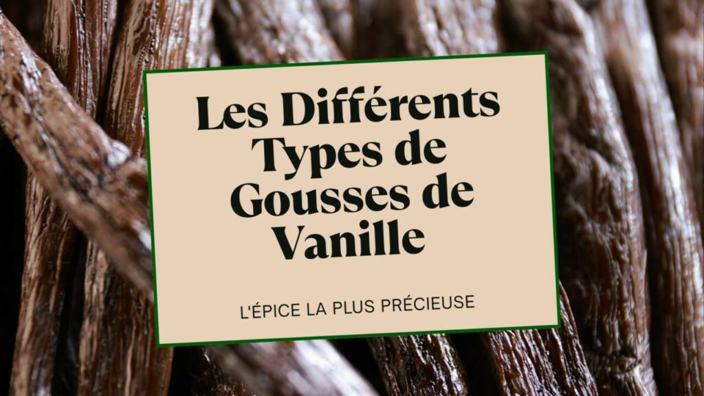 Les Différents Types de Gousses de Vanille Le Guide Ultime pour Choisir sa Vanille (Bourbon, Tahiti, Pompona)
