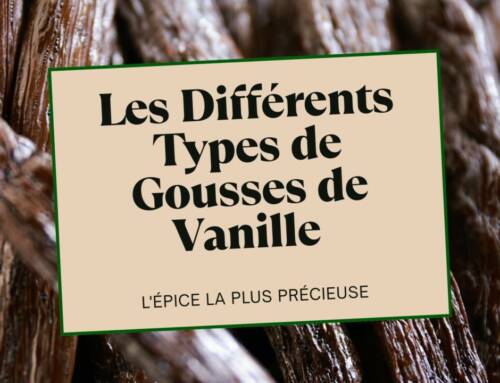 Les Différents Types de Gousses de Vanille
