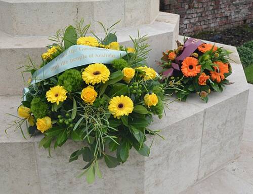 Que faire cette semaine dans le Var ? Les événements du 10 au 14 novembre 2025