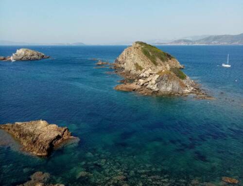 L’OFB veut votre avis une enquête déterminante pour le littoral varois