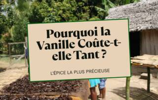 Pourquoi la Vanille Est-elle Si Chère L'Enquête sur l'Épice la Plus Chère Après le Safran