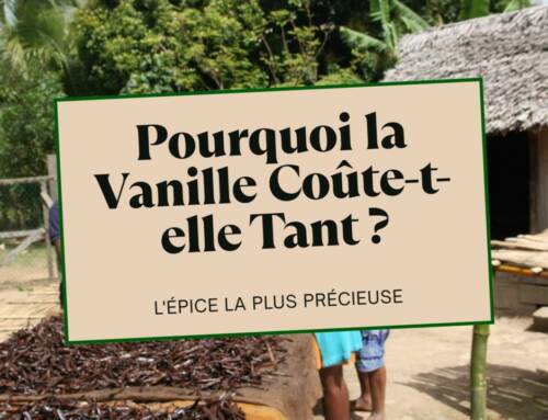 Pourquoi la Vanille Est-elle Si Chère ? L’Enquête sur l’Épice la Plus Chère Après le Safran