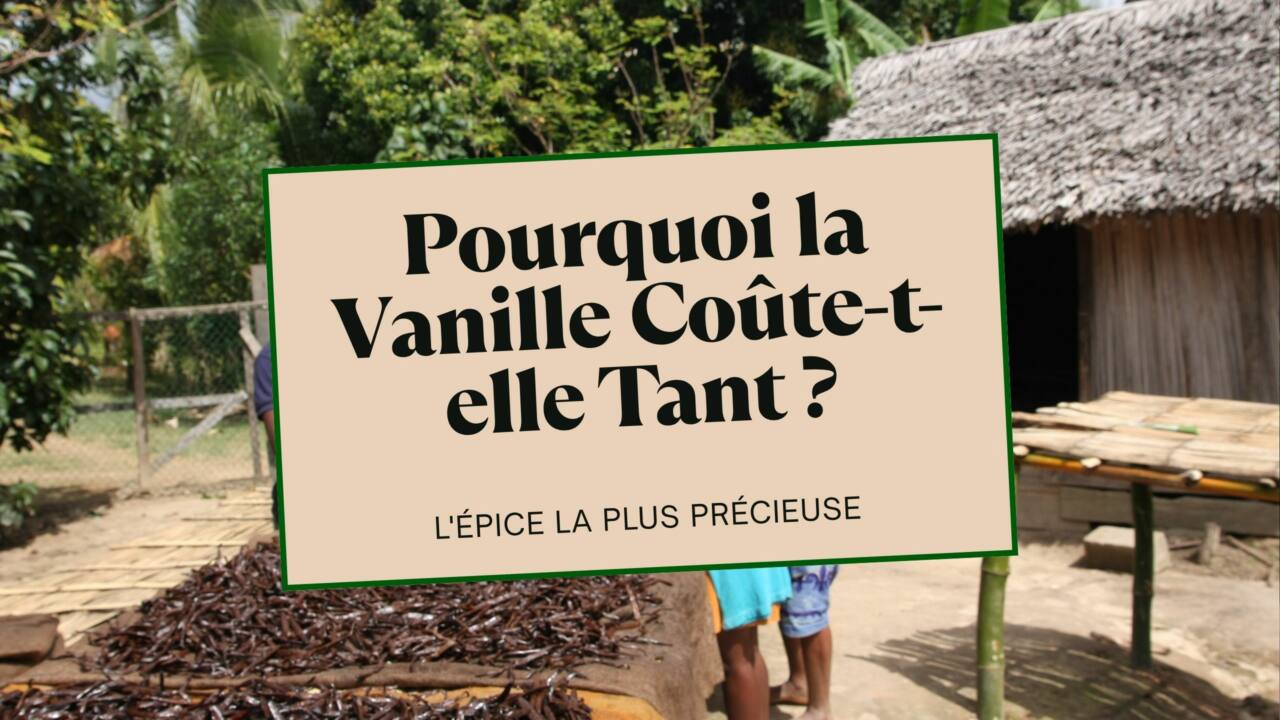 Pourquoi la Vanille Est-elle Si Chère L'Enquête sur l'Épice la Plus Chère Après le Safran