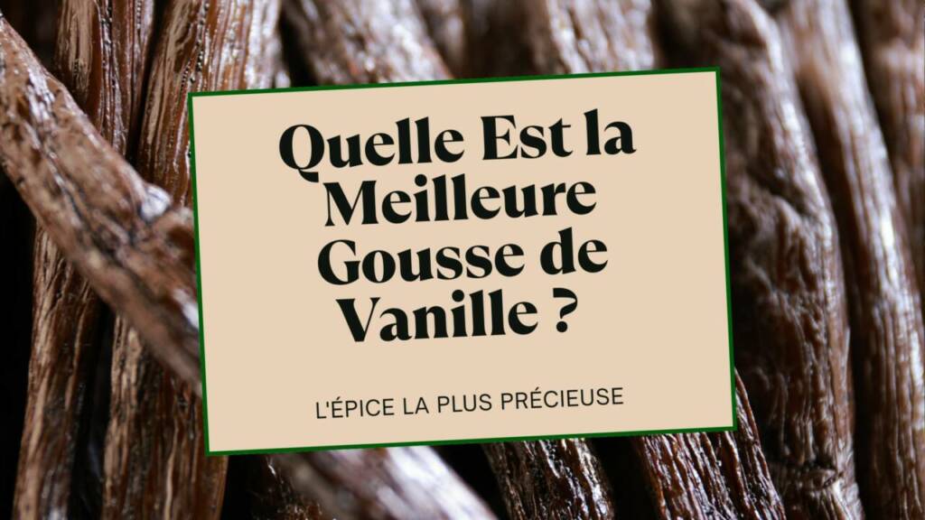 Quelle Est la Meilleure Gousse de Vanille Le Guide Ultime Pour Choisir la Meilleure Vanille du Monde