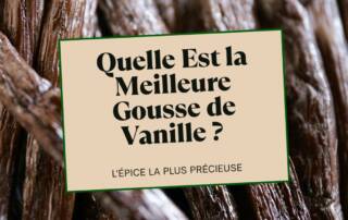 Quelle Est la Meilleure Gousse de Vanille Le Guide Ultime Pour Choisir la Meilleure Vanille du Monde