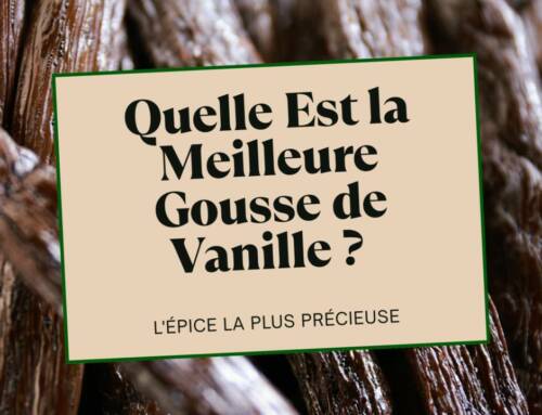 Meilleure Vanille du Monde : Guide Gousse de Madagascar