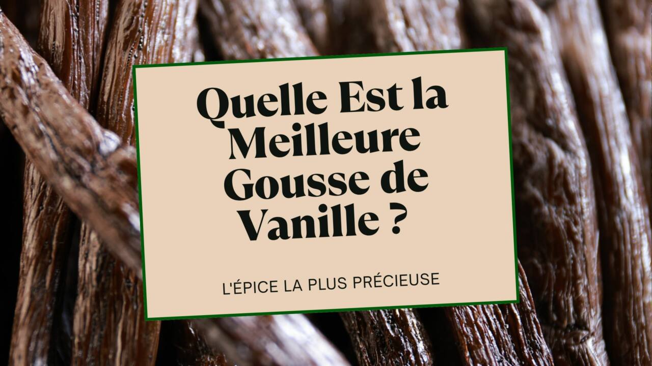 Quelle Est la Meilleure Gousse de Vanille Le Guide Ultime Pour Choisir la Meilleure Vanille du Monde