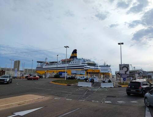 Exercice de grande ampleur au port de Toulon mercredi 12 novembre pour tester la gestion de nombreuses victimes