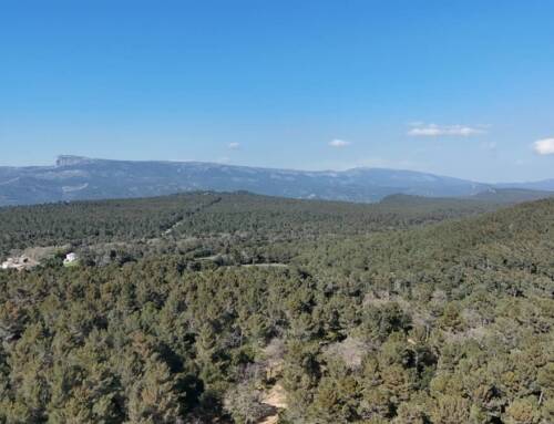 Météo du samedi 29 novembre 2025 dans le Var : soleil le matin puis nuages en soirée