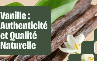 vanilline de synthèse faut-il s'inquiéter analyse des dangers et de la réglementation