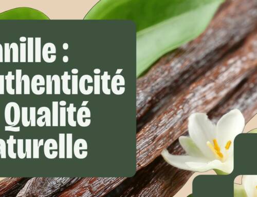 Vanille Authenticité, Arômes et Réglementation des Produits