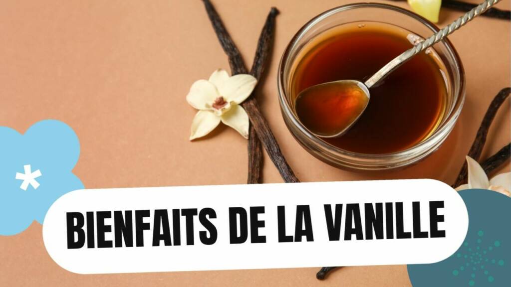 Vanille Bourbon Bienfaits Secrets pour la Santé et le Bien-être, au-delà du Mythe Aphrodisiaque