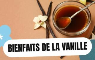 Vanille Bourbon Bienfaits Secrets pour la Santé et le Bien-être, au-delà du Mythe Aphrodisiaque