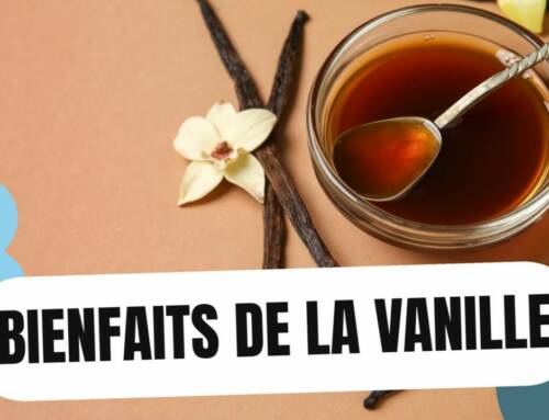 Vanille Bourbon : Bienfaits Secrets pour la Santé et le Bien-être, au-delà du Mythe Aphrodisiaque