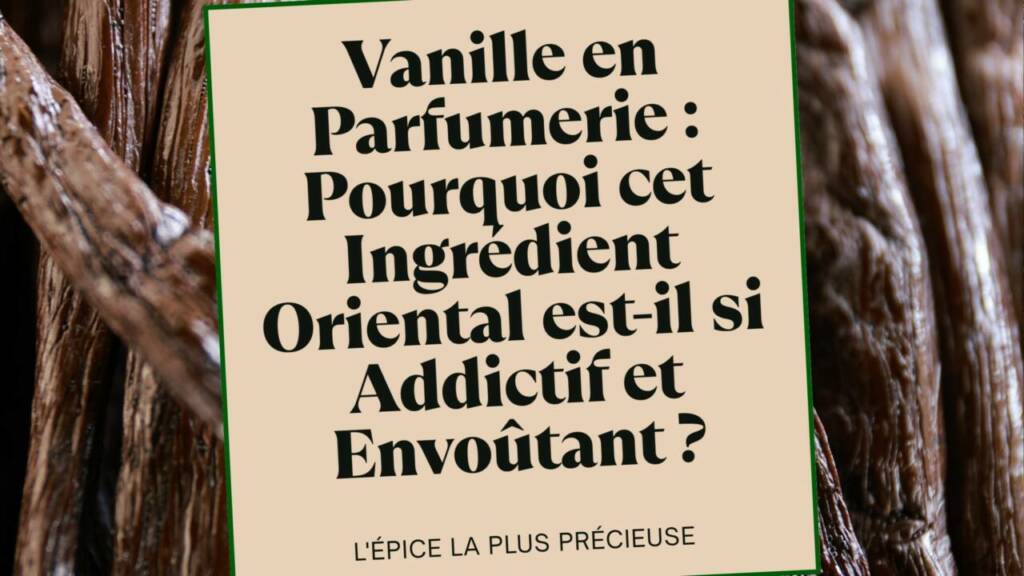 Vanille en Parfumerie Pourquoi cet Ingrédient Oriental est-il si Addictif et Envoûtant