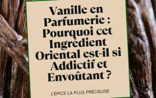 Vanille en Parfumerie Pourquoi cet Ingrédient Oriental est-il si Addictif et Envoûtant