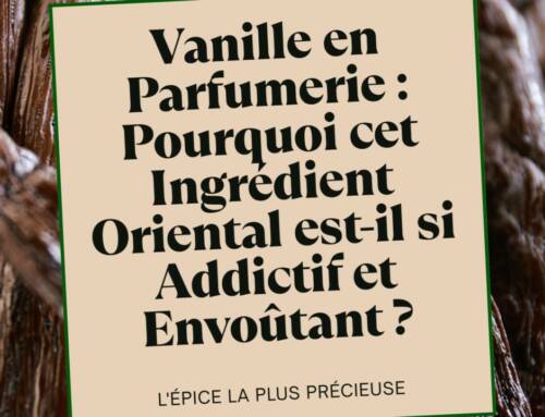 Vanille en Parfumerie