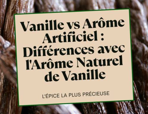 Vanille vs Arôme Artificiel : Différences avec l’Arôme Naturel de Vanille