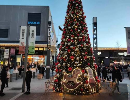 Le Black Friday dans le Var une journée confuse avec un mélange d’achats impulsifs et d’extrême prudence