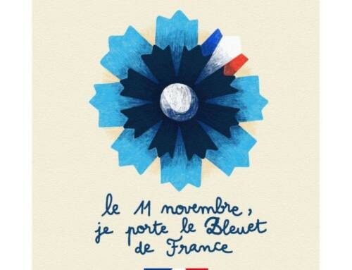 Le Bleuet de France, plus d’un siècle de solidarité qui résonne encore dans le cœur des Varois