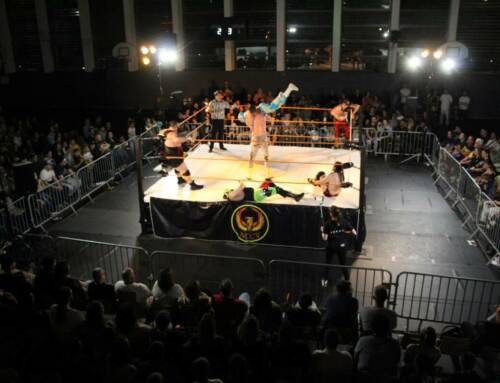 Que faire ce week-end dans le Var ? Les événements du 7 au 9 novembre 2025