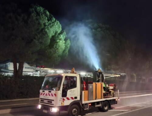 Fréjus et l’Estérel Côte d’Azur Agglomération renforcent la lutte contre la chenille processionnaire