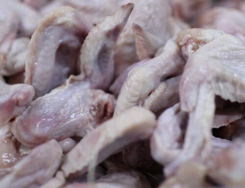 Influenza aviaire, le Var placé en niveau de risque “élevé” pour protéger les élevages