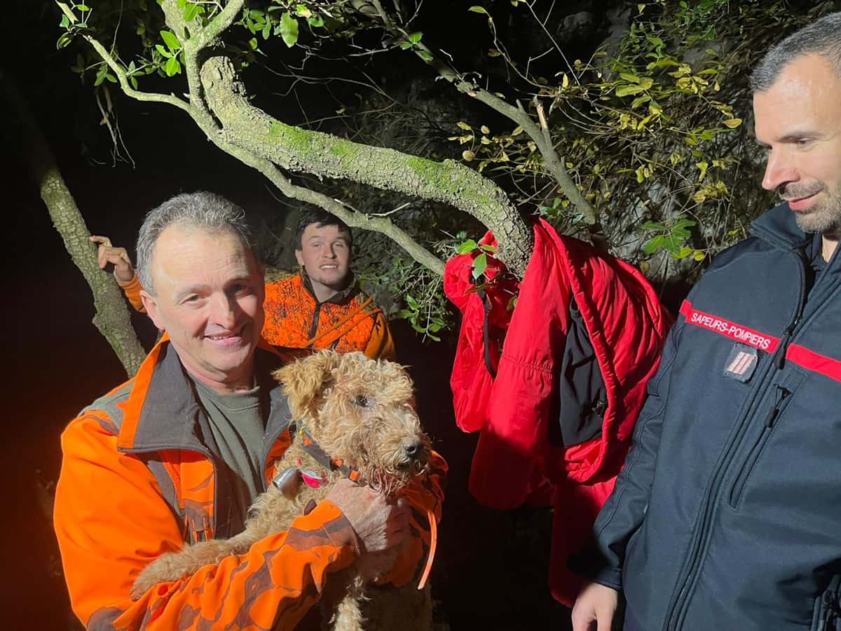 chien sauve pompiers