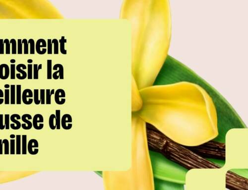 Comment bien choisir sa vanille ?