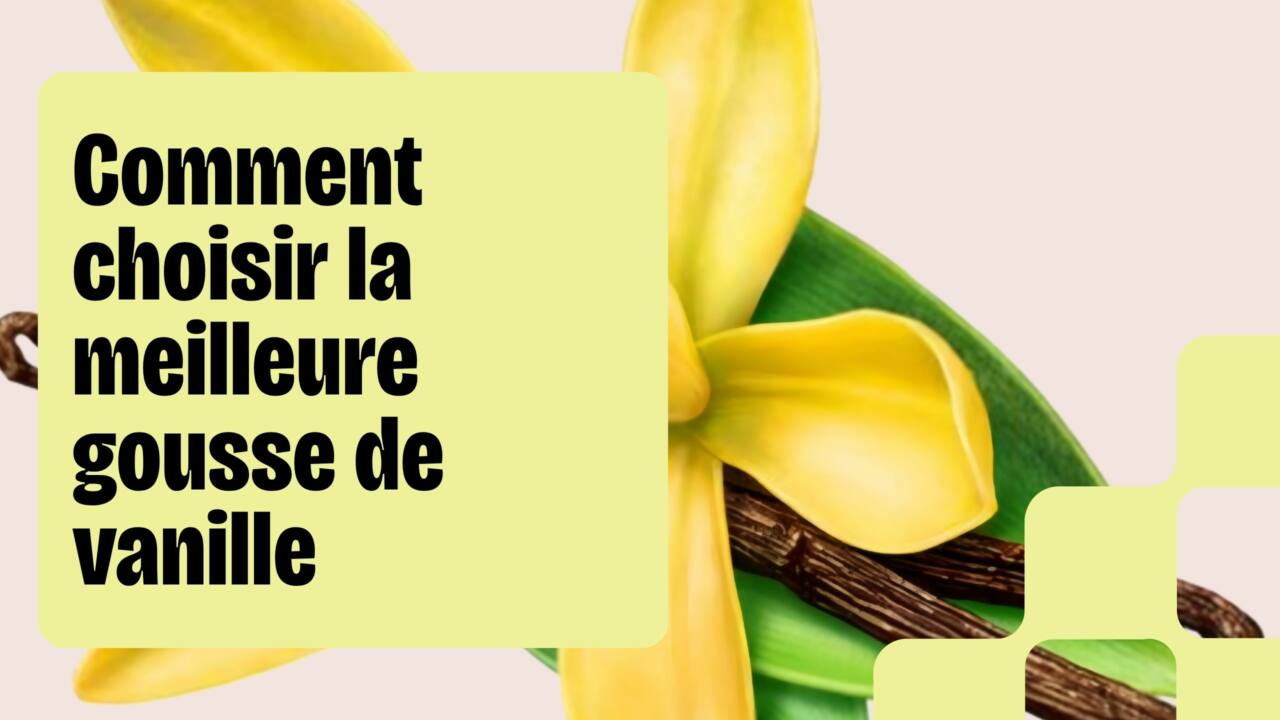 comment acheter une bonne gousse de vanille