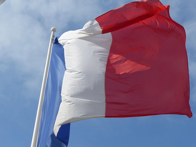Commémoration 11 novembre Toulon drapeau français
