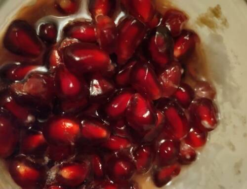 Pourquoi la grenade fascine depuis des millénaires