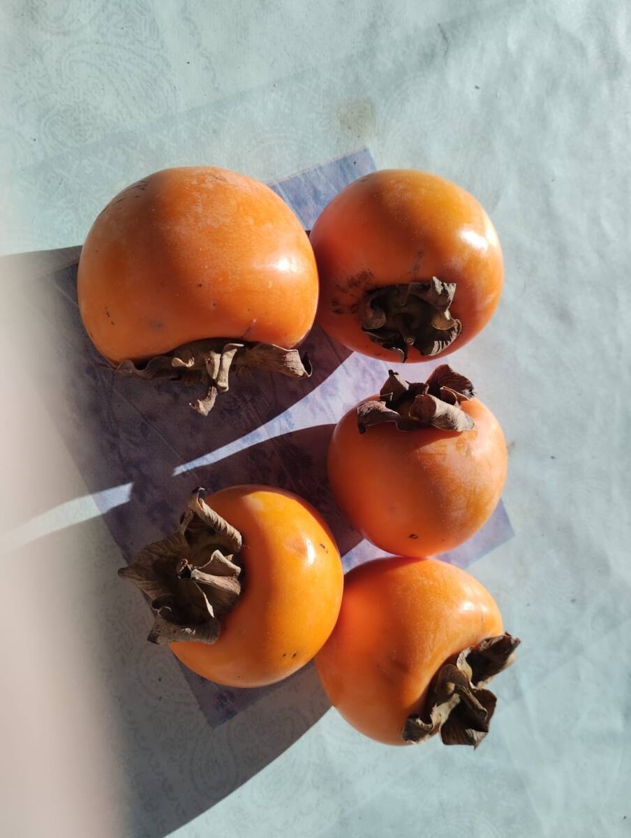 kaki bienfaits fruit asiatique