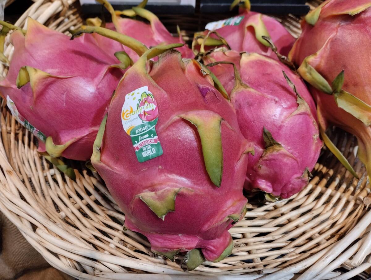 pitaya- VA le pitaya