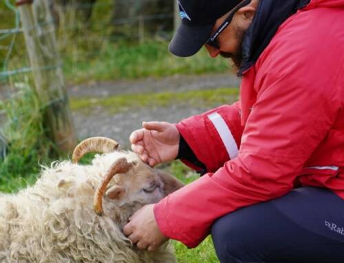 HORIZONS PARTAGES – SAISON 2 – EPISODE 6 : Islande : sur les traces magiques