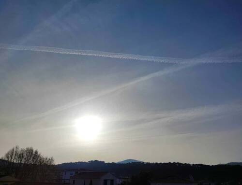 Black Friday : météo ensoleillée ce vendredi 28 novembre dans le Var