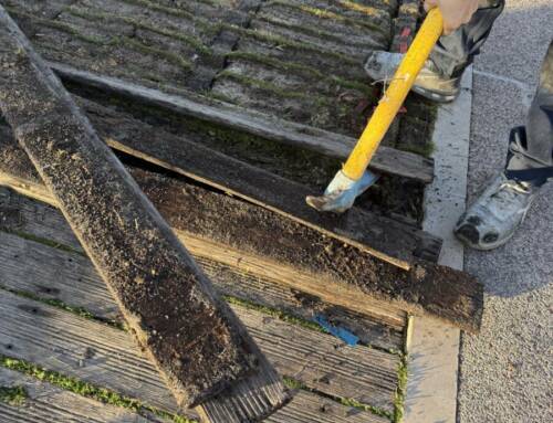 Travaux à Bandol un nouveau platelage bois prend forme entre Palm Beach et le Casino