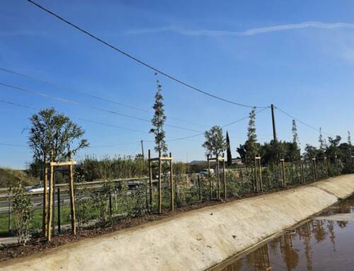 Un souffle de verdure aux Argelas grâce aux nouvelles plantations