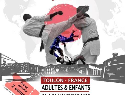 Sébastien Loeb, karaté mondial et expo sous-marins un week-end très chargé à Toulon