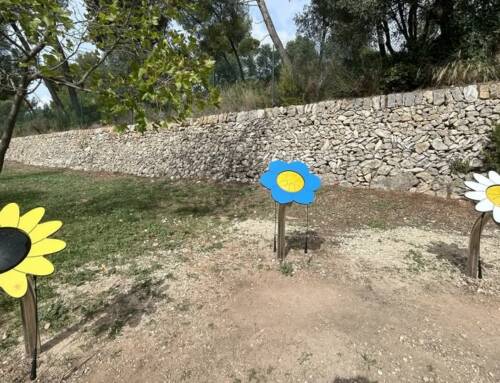 Le Pétale Drums illumine toute l’année le parc public de la Castellane et offre une expérience musicale pour tous