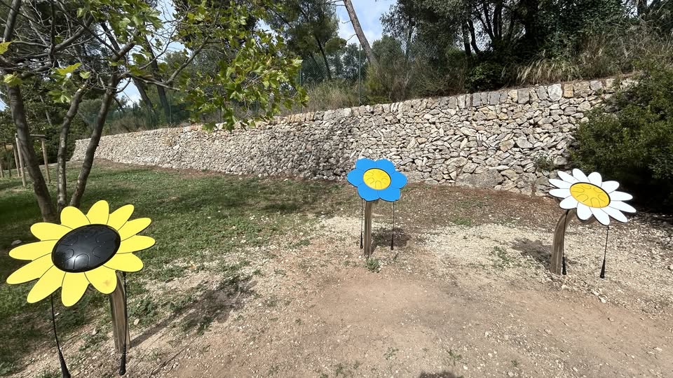 Pétale Drums parc Castellane