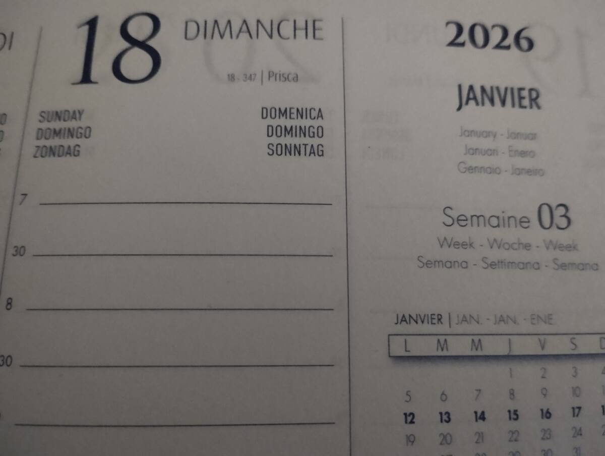 agenda semainier agenda semainier