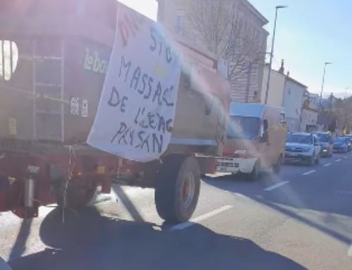 Éleveurs en colère dans le Var face aux mesures sanitaires