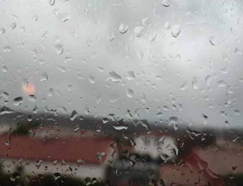 Météo du 3 décembre dans le Var : pluie, vent et vigilance jaune orages