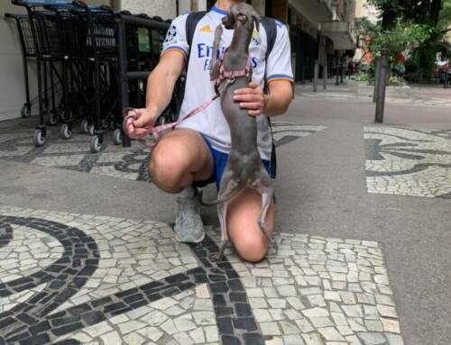 HORIZONS PARTAGES – SAISON 2 – EPISODE 8 : Brésil : L’âme vibrante de Rio