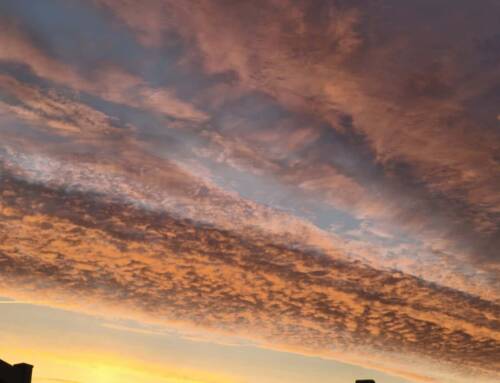 Pourquoi le ciel était si coloré ce matin dans le Var ?