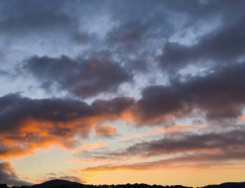 Météo dans le Var : un week-end doux et ensoleillé en perspective