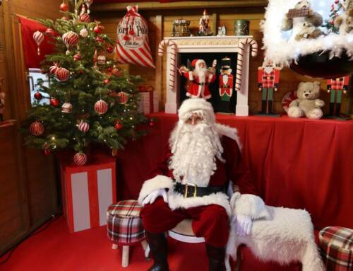 Que faire ce week-end dans le Var ? Les événements du 19 au 21 décembre 2025